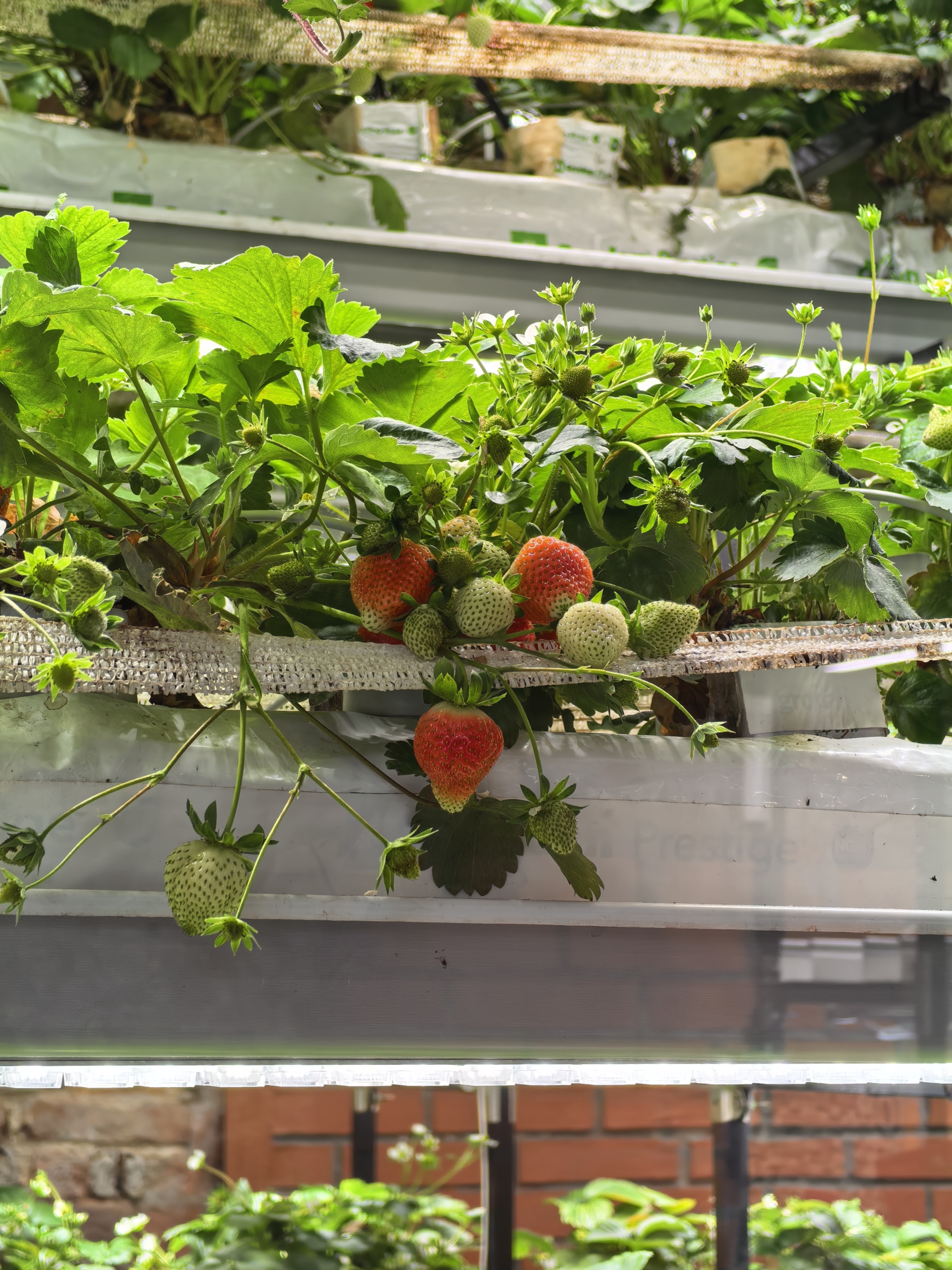 Обзор Huawei Mate X7 — компактного и надёжного складного смартфона Обзор Huawei Mate X7 — компактного и надёжного складного смартфона