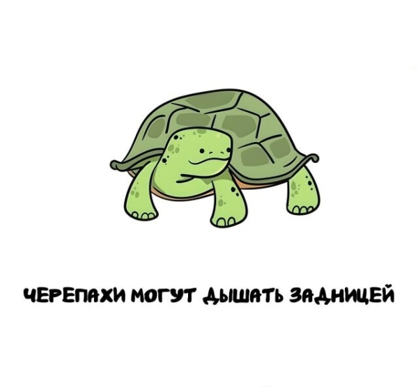 Минута отдыха А вдруг ты не знал… Интересное 