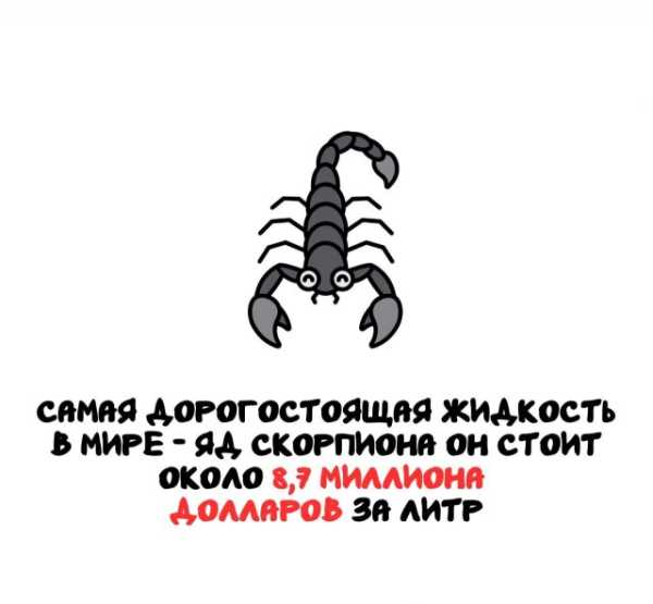 Минута отдыха Интересные короткие факты на все случаи жизни Интересное 