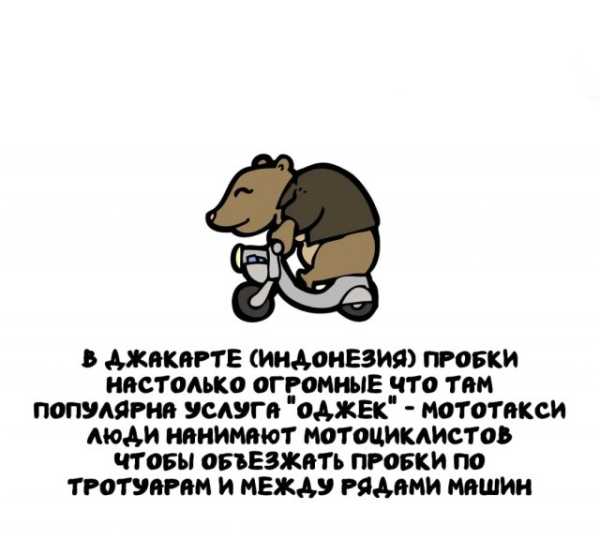 Минута отдыха Интересные короткие факты на все случаи жизни Интересное 