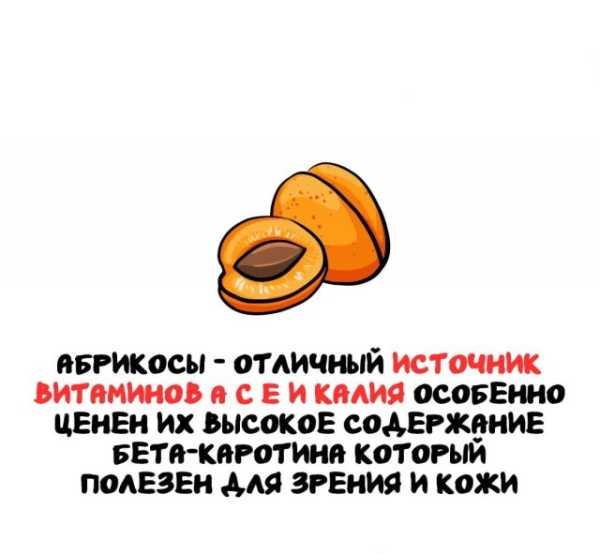 Минута отдыха Интересные короткие факты на все случаи жизни Интересное 