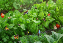 Минута отдыха Кто из букашек арендовал вашу дачу до весны и как их выселить Сад огород 