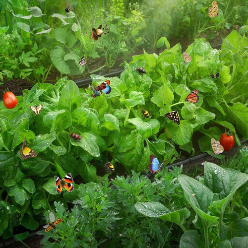 Минута отдыха Кто из букашек арендовал вашу дачу до весны и как их выселить Сад огород 