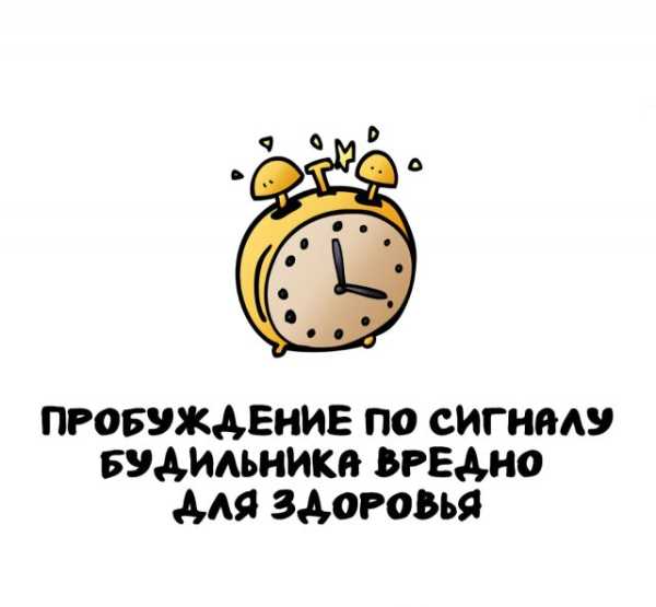 Минута отдыха Интересные короткие факты на все случаи жизни Интересное 