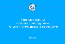 Минута отдыха Анекдотов пост: «Взрослая жизнь…» (11 фото) Анекдоты 