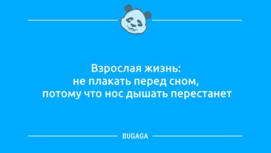 Минута отдыха Анекдотов пост: «Взрослая жизнь…» (11 фото) Анекдоты 