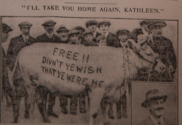 Минута отдыха Турра Ку – бурёнка, ставшая символом сопротивления Интересное Минута отдыха Турра Ку – бурёнка, ставшая символом сопротивления Интересное