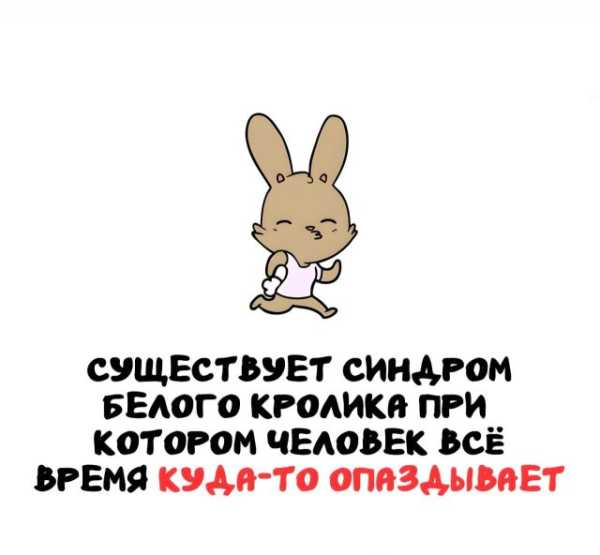 Минута отдыха Интересные короткие факты на все случаи жизни Интересное 