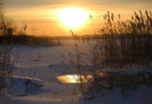 Минута отдыха Метеозависимых петербуржцев предупредили о шести мощных бурях в 2026 году . Петербург Общество 