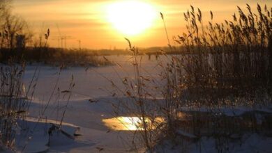 Минута отдыха Метеозависимых петербуржцев предупредили о шести мощных бурях в 2026 году . Петербург Общество 