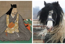 Минута отдыха Лошади с усами, птица-избиратель и 800 групп крови: 10 фактов, которые заставят вас пересмотреть реальность Интересное 