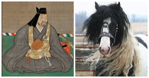 Минута отдыха Лошади с усами, птица-избиратель и 800 групп крови: 10 фактов, которые заставят вас пересмотреть реальность Интересное Минута отдыха Лошади с усами, птица-избиратель и 800 групп крови: 10 фактов, которые заставят вас пересмотреть реальность Интересное