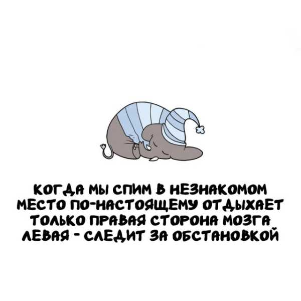 Минута отдыха Интересные короткие факты на все случаи жизни Интересное Минута отдыха Интересные короткие факты на все случаи жизни Интересное