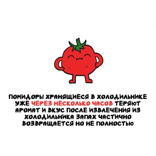 Минута отдыха Интересные короткие факты на все случаи жизни Интересное Минута отдыха Интересные короткие факты на все случаи жизни Интересное