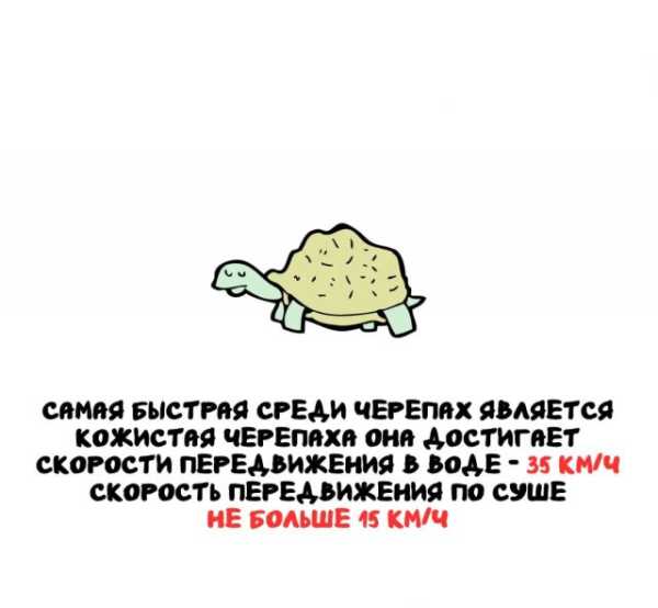 Минута отдыха Интересные короткие факты на все случаи жизни Интересное 