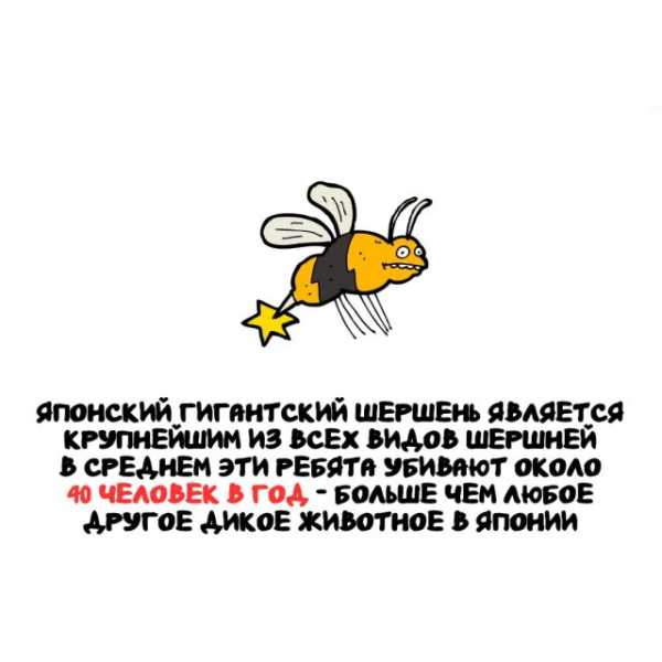 Минута отдыха Интересные короткие факты на все случаи жизни Интересное Минута отдыха Интересные короткие факты на все случаи жизни Интересное