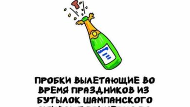 Минута отдыха Интересные короткие факты на все случаи жизни Интересное 