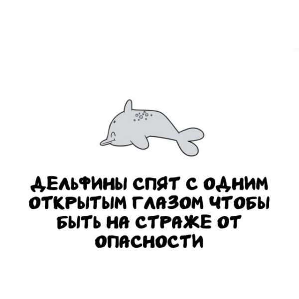 Минута отдыха Интересные короткие факты на все случаи жизни Интересное Минута отдыха Интересные короткие факты на все случаи жизни Интересное