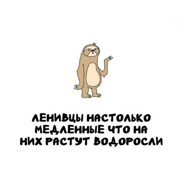 Минута отдыха Интересные короткие факты на все случаи жизни Интересное Минута отдыха Интересные короткие факты на все случаи жизни Интересное