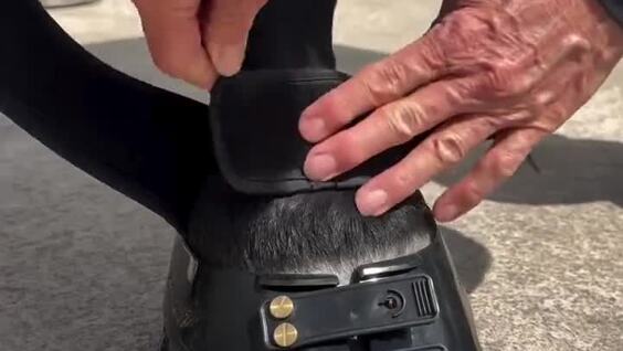 Минута отдыха Кроссовки для лошадей Интересное Минута отдыха Кроссовки для лошадей Интересное