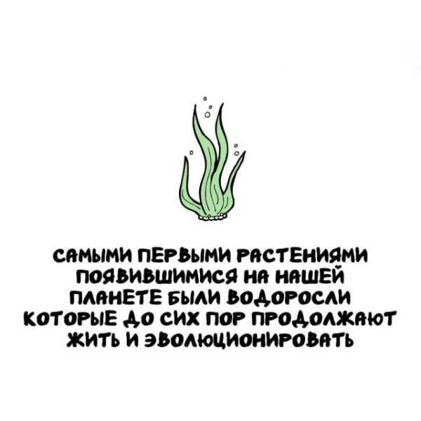 Минута отдыха Интересные короткие факты на все случаи жизни Интересное Минута отдыха Интересные короткие факты на все случаи жизни Интересное