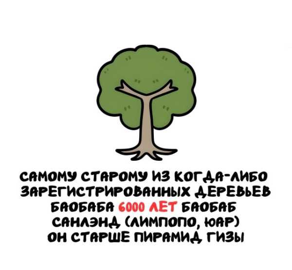 Минута отдыха Интересные короткие факты на все случаи жизни Интересное 