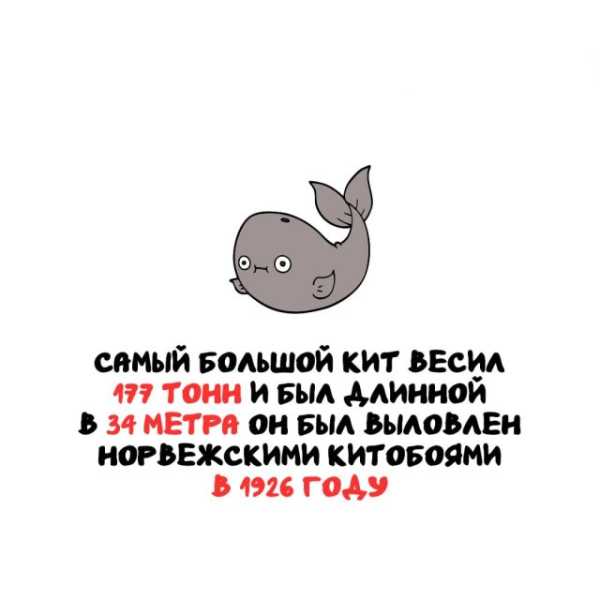 Минута отдыха Интересные короткие факты на все случаи жизни Интересное Минута отдыха Интересные короткие факты на все случаи жизни Интересное