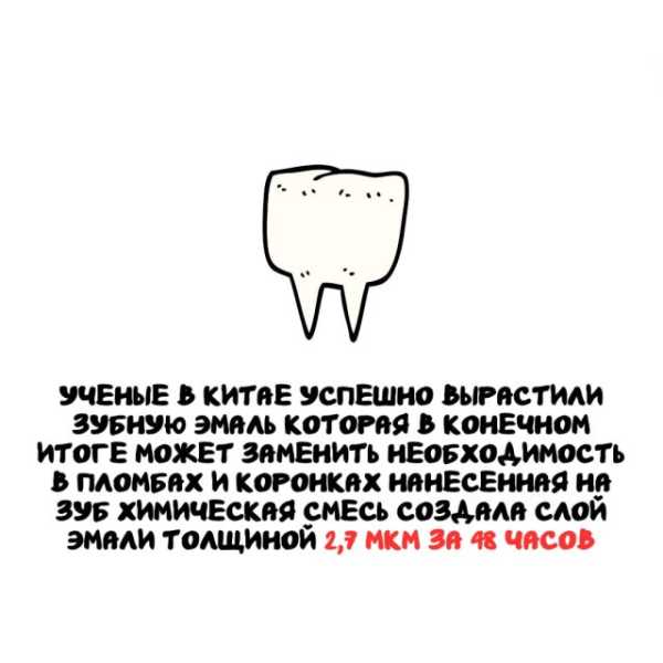Минута отдыха Интересные короткие факты на все случаи жизни Интересное Минута отдыха Интересные короткие факты на все случаи жизни Интересное