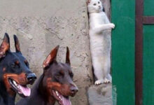 Минута отдыха Мем №1582150 Анекдоты 