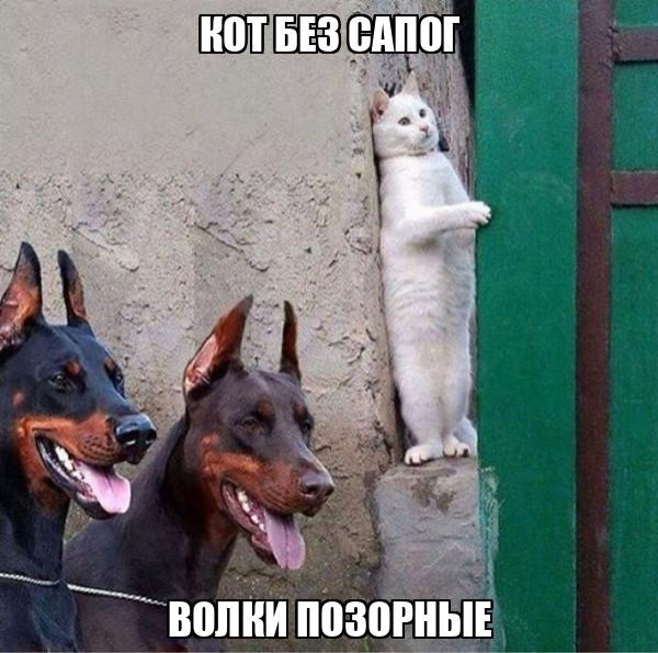 Минута отдыха Мем №1582150 Анекдоты 