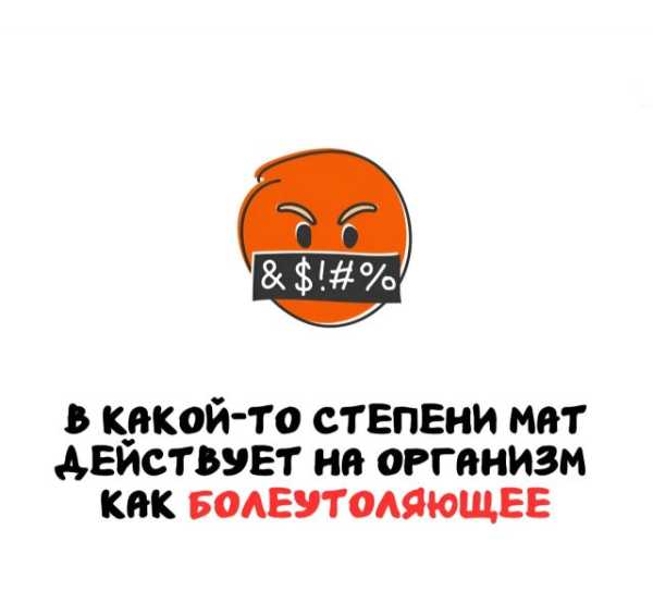 Минута отдыха Интересные короткие факты на все случаи жизни Интересное 