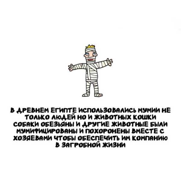 Минута отдыха Интересные короткие факты на все случаи жизни Интересное Минута отдыха Интересные короткие факты на все случаи жизни Интересное