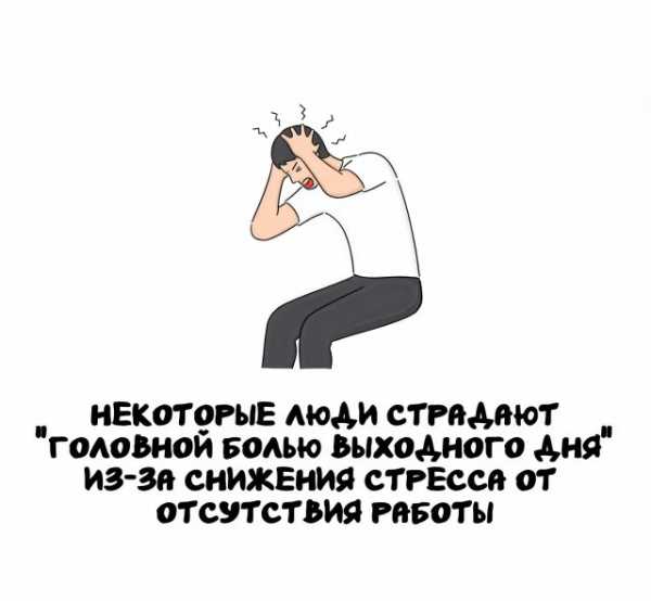 Минута отдыха Интересные короткие факты на все случаи жизни Интересное 