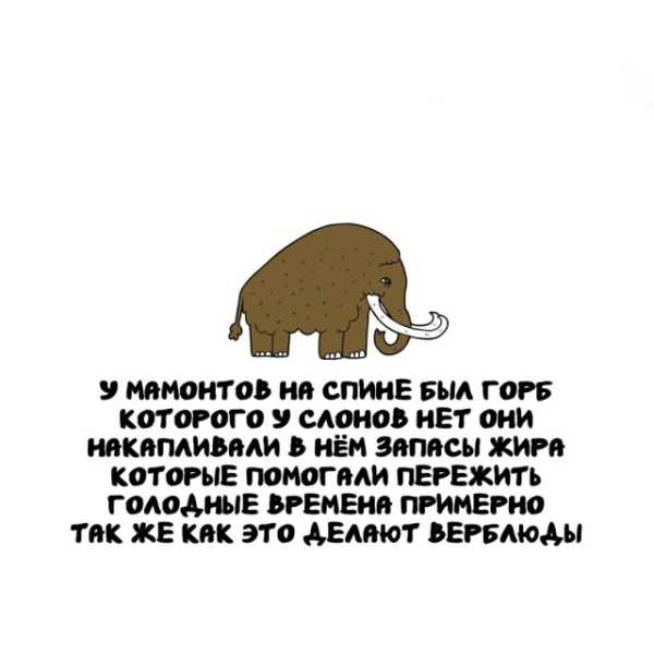 Минута отдыха Интересные короткие факты на все случаи жизни Интересное Минута отдыха Интересные короткие факты на все случаи жизни Интересное