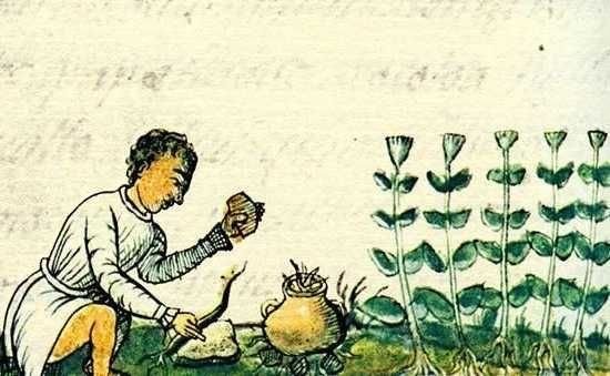 Минута отдыха Цивилизация ацтеков достижения культуры Интересное 