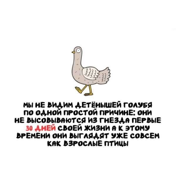 Минута отдыха Интересные короткие факты на все случаи жизни Интересное Минута отдыха Интересные короткие факты на все случаи жизни Интересное
