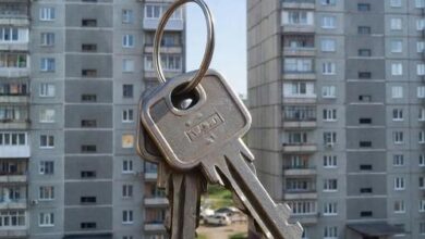 Минута отдыха Афера с участием звёзд с виллами на Бали, квартирный скандал в Пензенской области Криминал 