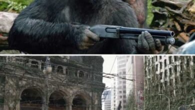 Минута отдыха Каким в фантастических фильмах прошлого был показан 2026 год Интересное 