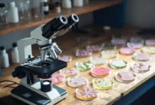 Минута отдыха Кишечные микроорганизмы сопоставимы с нервной системой Полезности микробиота кишечник 