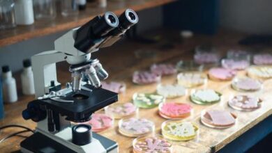 Минута отдыха Кишечные микроорганизмы сопоставимы с нервной системой Полезности микробиота кишечник Минута отдыха Кишечные микроорганизмы сопоставимы с нервной системой Полезности микробиота кишечник