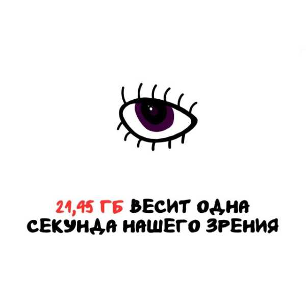 Минута отдыха Интересные короткие факты на все случаи жизни Интересное 