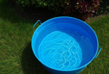 Минута отдыха Как правильно собирать и использовать дождевую воду для полива: опыт дачников Интересное 