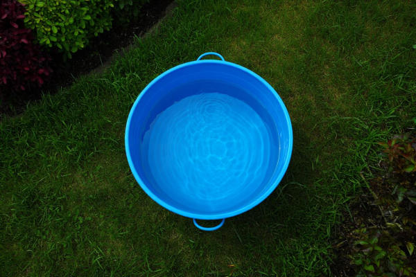 Минута отдыха Как правильно собирать и использовать дождевую воду для полива: опыт дачников Интересное 