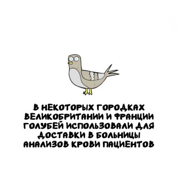 Минута отдыха Интересные короткие факты на все случаи жизни Интересное Минута отдыха Интересные короткие факты на все случаи жизни Интересное