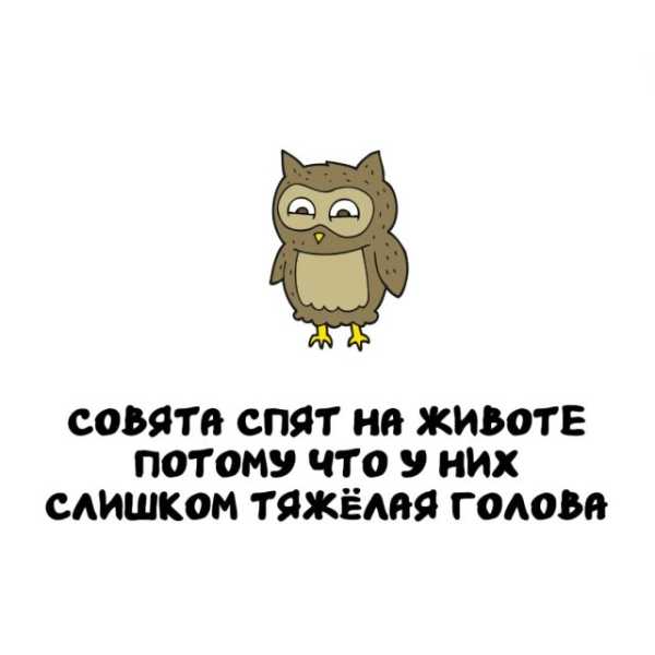 Минута отдыха Интересные короткие факты на все случаи жизни Интересное Минута отдыха Интересные короткие факты на все случаи жизни Интересное