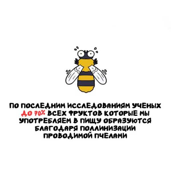 Минута отдыха Интересные короткие факты на все случаи жизни Интересное Минута отдыха Интересные короткие факты на все случаи жизни Интересное