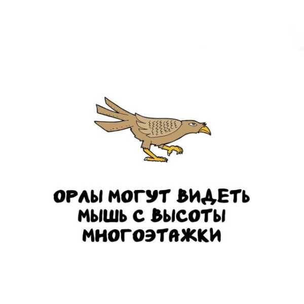 Минута отдыха Интересные короткие факты на все случаи жизни Интересное Минута отдыха Интересные короткие факты на все случаи жизни Интересное