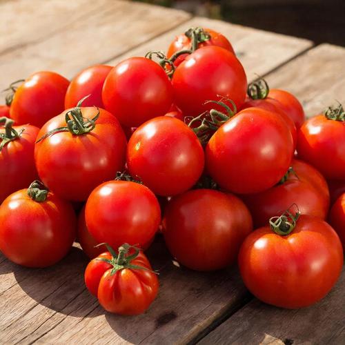 Минута отдыха Помидоры не всегда полезны Полезности эксклюзив помидоры Игорь Михайлов здоровье диета Минута отдыха Помидоры не всегда полезны Полезности эксклюзив помидоры Игорь Михайлов здоровье диета