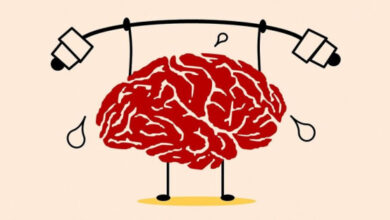 Минута отдыха Из-за чего и как именно устаёт мозг? Интересное 