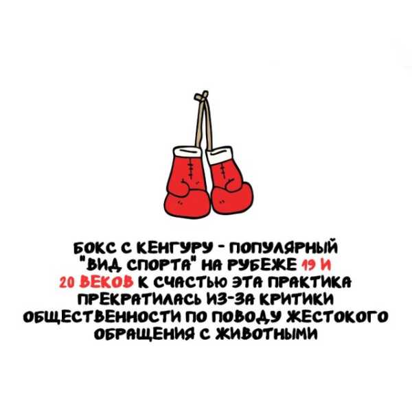 Минута отдыха Интересные короткие факты на все случаи жизни Интересное 